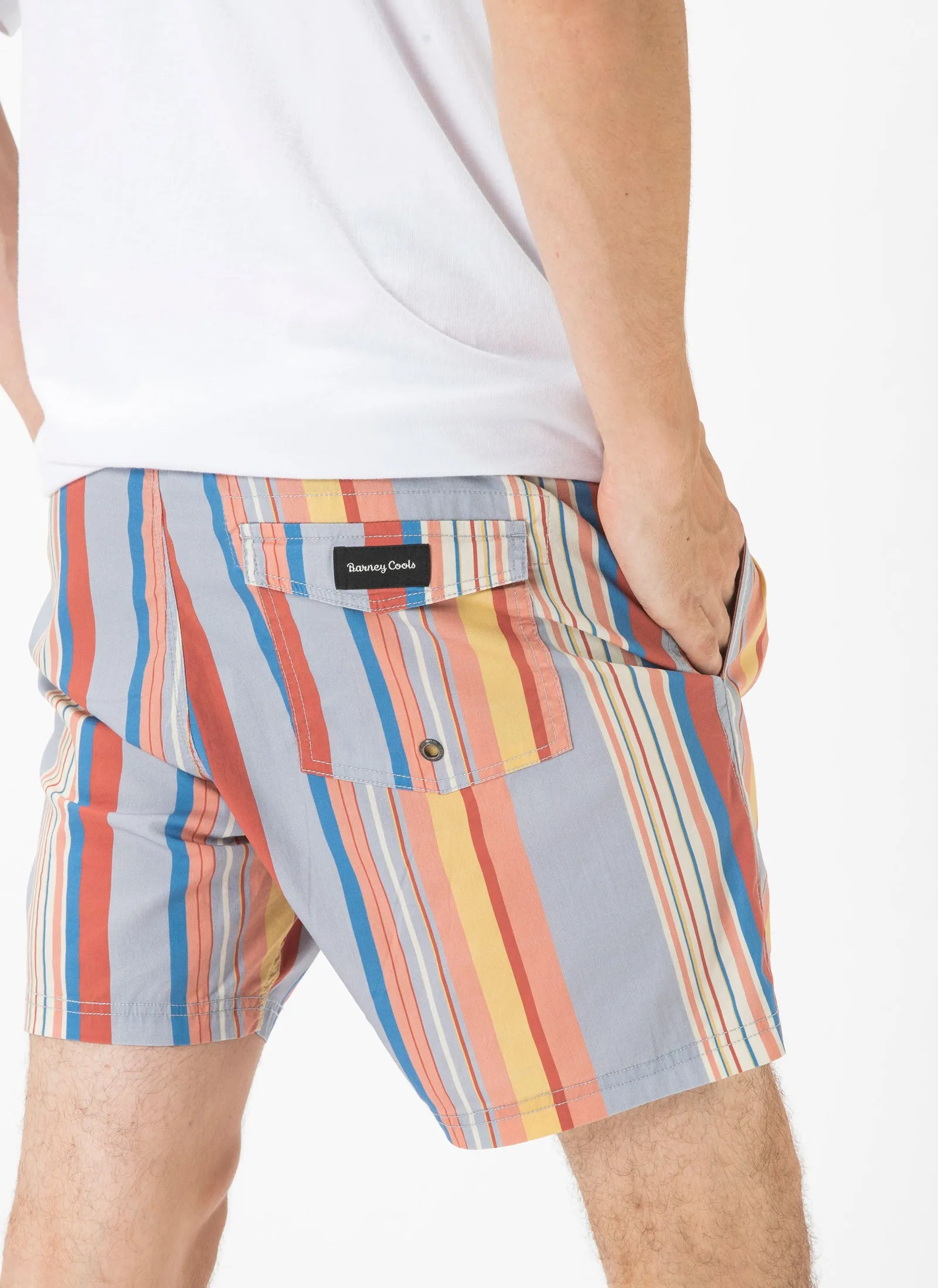 Amphibious Swim Short Summer Stripe