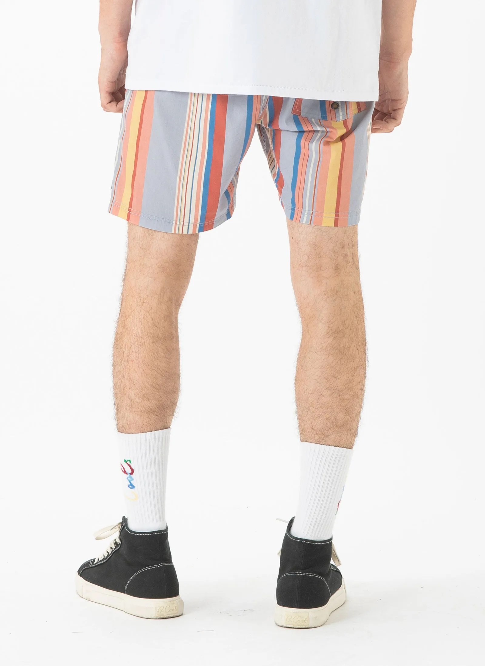 Amphibious Swim Short Summer Stripe