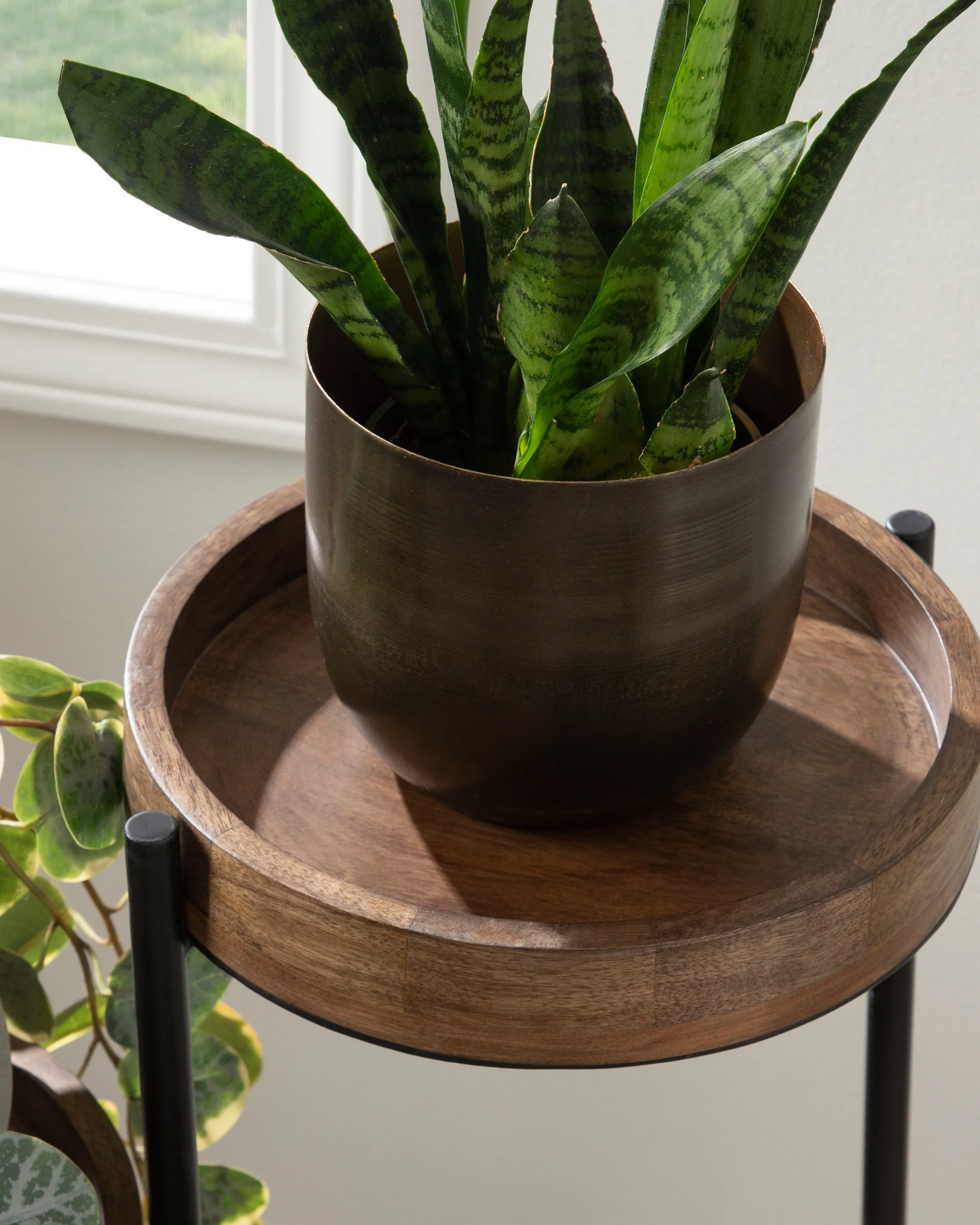 Finn Metal Tri-Level Plant Stand