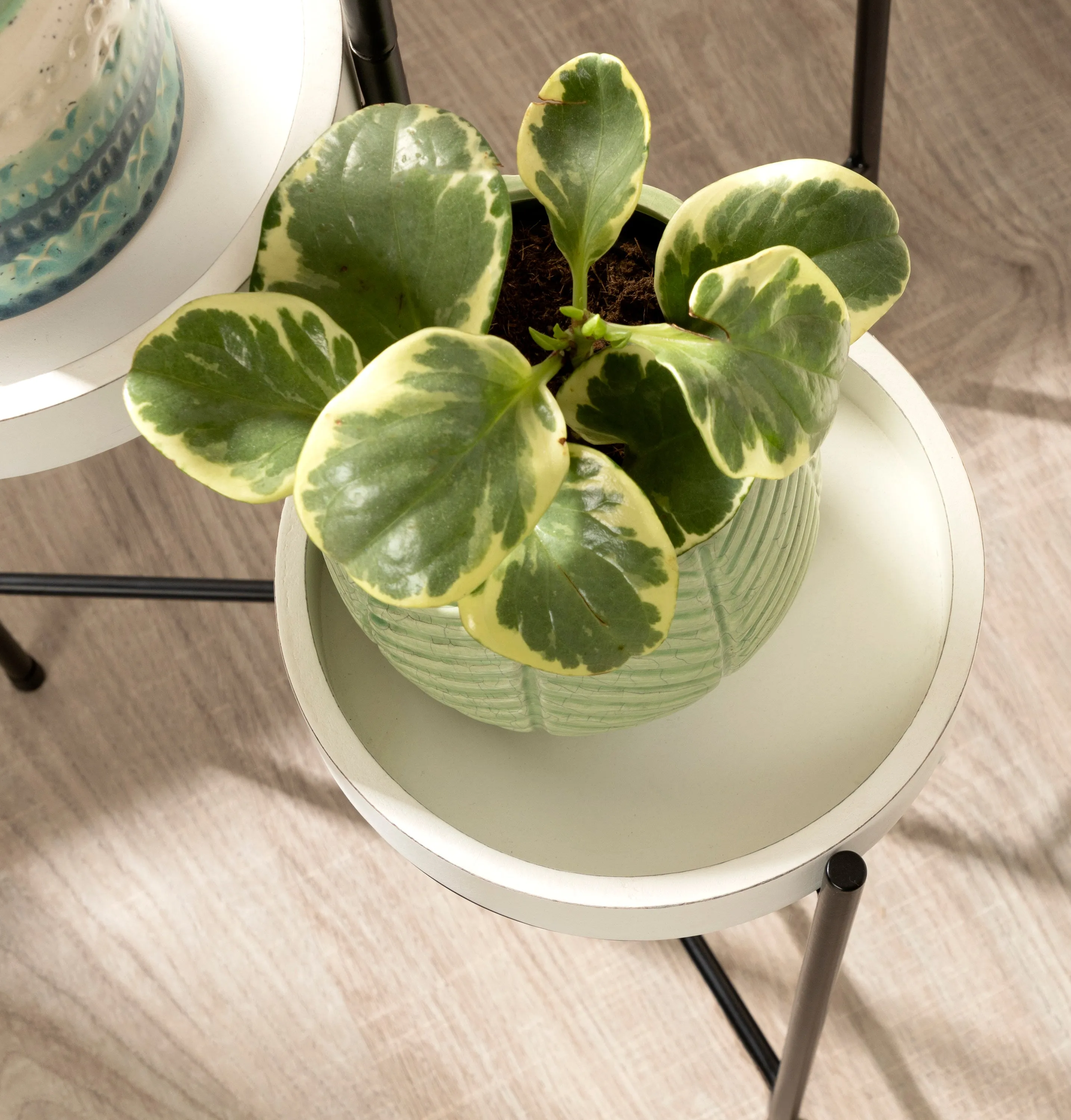 Finn Metal Tri-Level Plant Stand