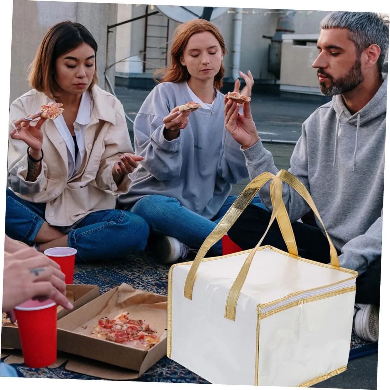 Large Capacity Insulated Cake Bag Reusable Food Storage Bag Handles for Travel Picnic Beach Shopping