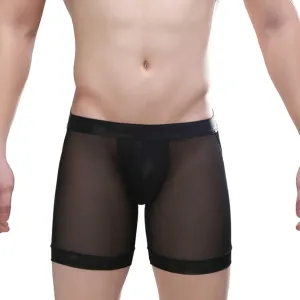 Mens Sexy Underwear See Through Mesh Revealing Buttocks Boxer Brief Pouch Breathable Sports Transparent Exotic Trunks