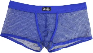 Mens Transparent Underwear See-Through Mesh Underpants Boxer Briefs Sexy T Lingerie Shorts Zulmaliu