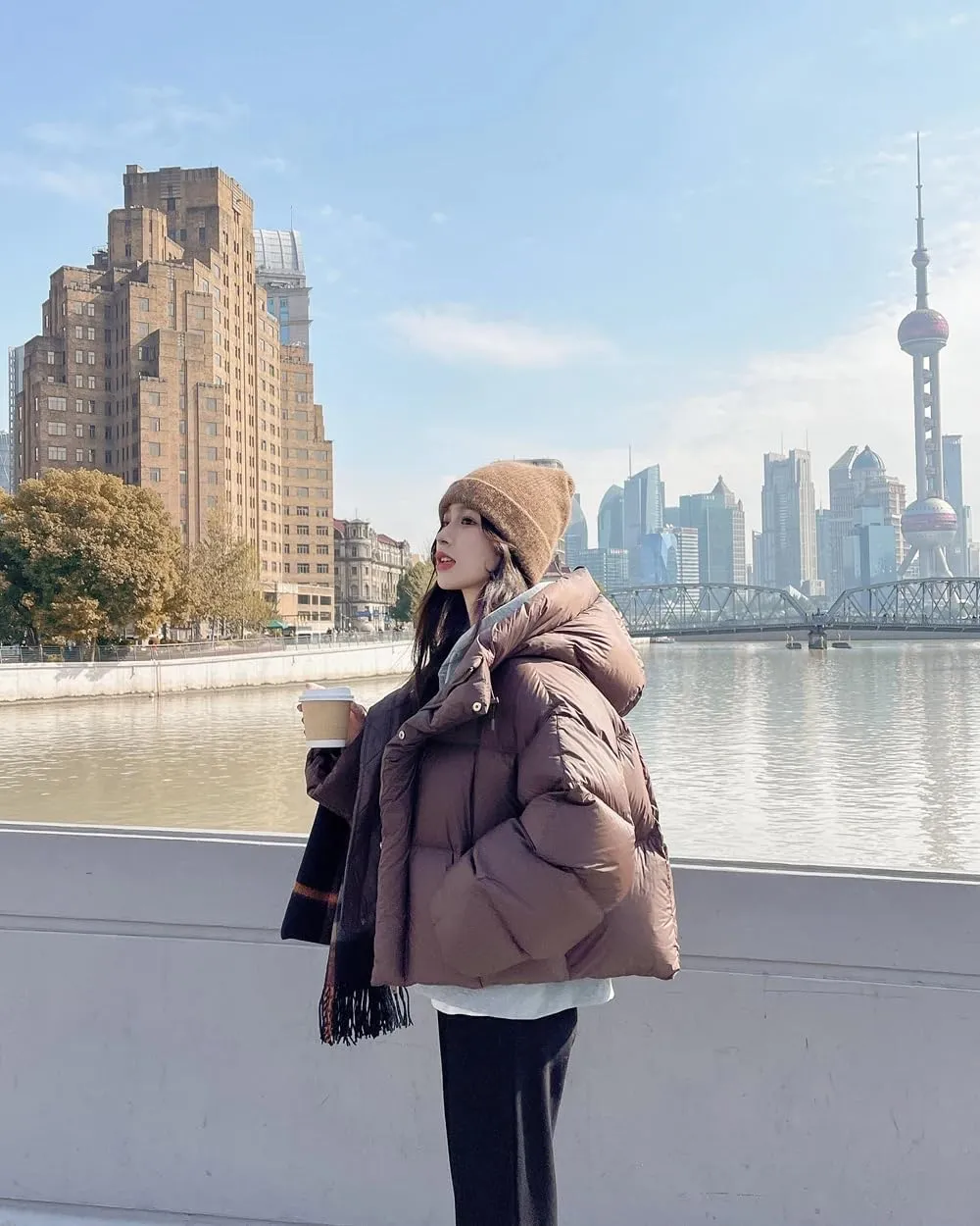 Pulcykp Women Winter Down Jacket Coat Hoodie Duck Warm Down Outwear Cotton-Padded Puffer Coat