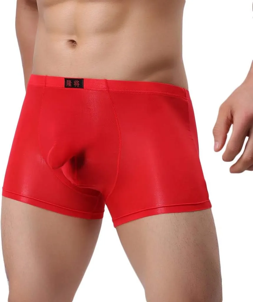 SHACE Elephant Thong for Men See Through Stretch Underpants Breathable Comfortable Trunks See Through Underwear Knickers