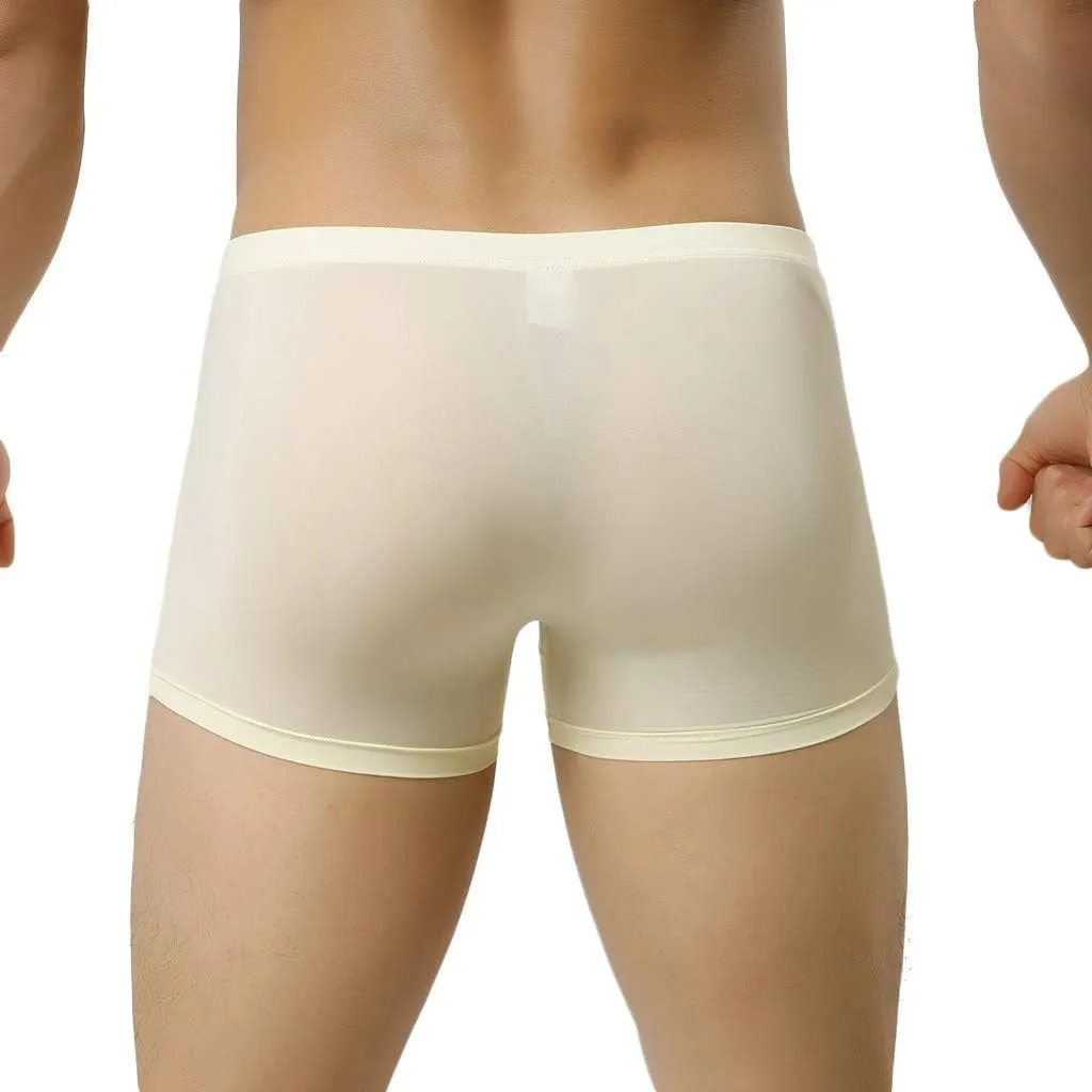 SHACE Elephant Thong for Men See Through Stretch Underpants Breathable Comfortable Trunks See Through Underwear Knickers