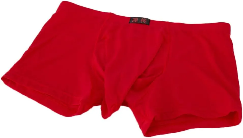 SHACE Elephant Thong for Men See Through Stretch Underpants Breathable Comfortable Trunks See Through Underwear Knickers