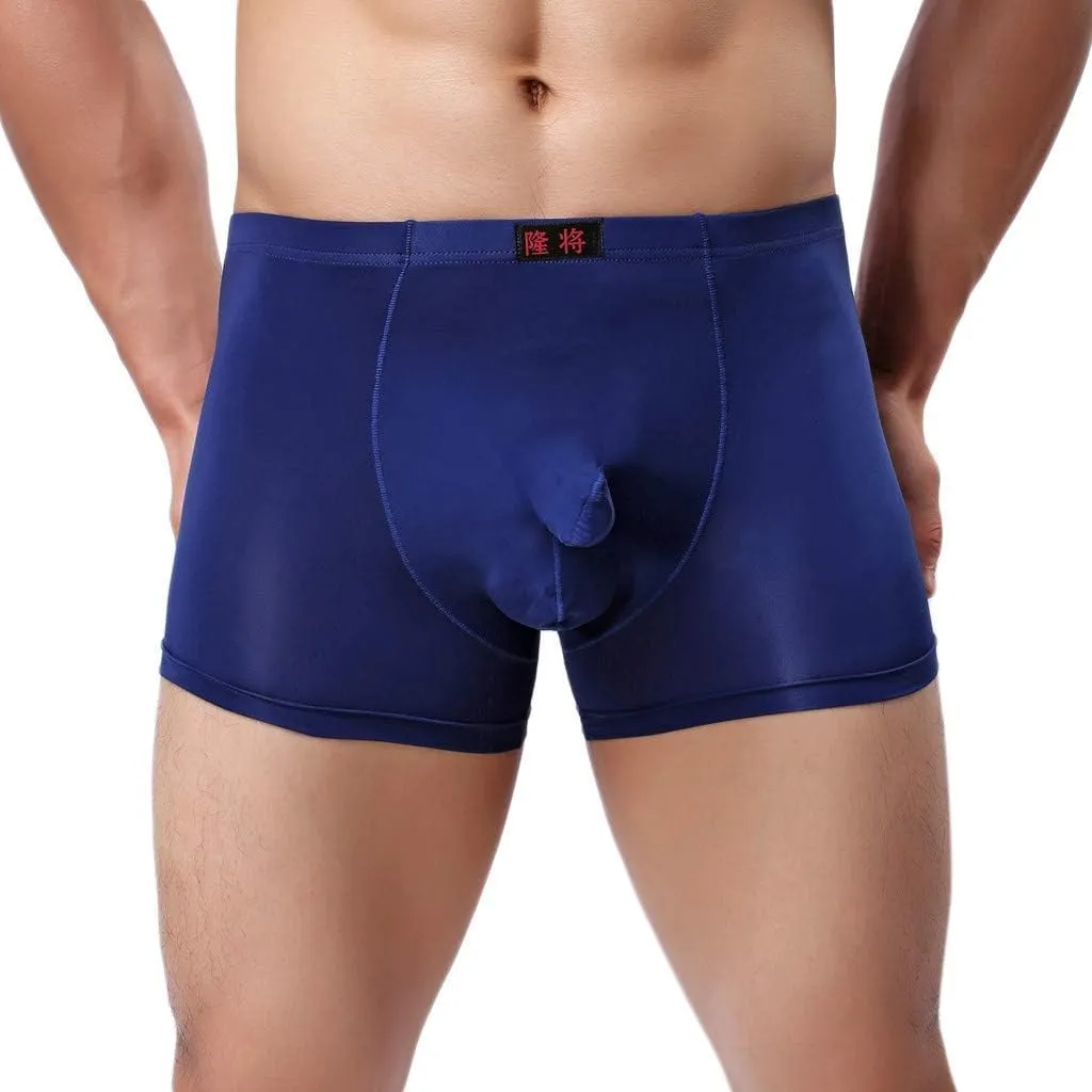 SHACE Elephant Thong for Men See Through Stretch Underpants Breathable Comfortable Trunks See Through Underwear Knickers