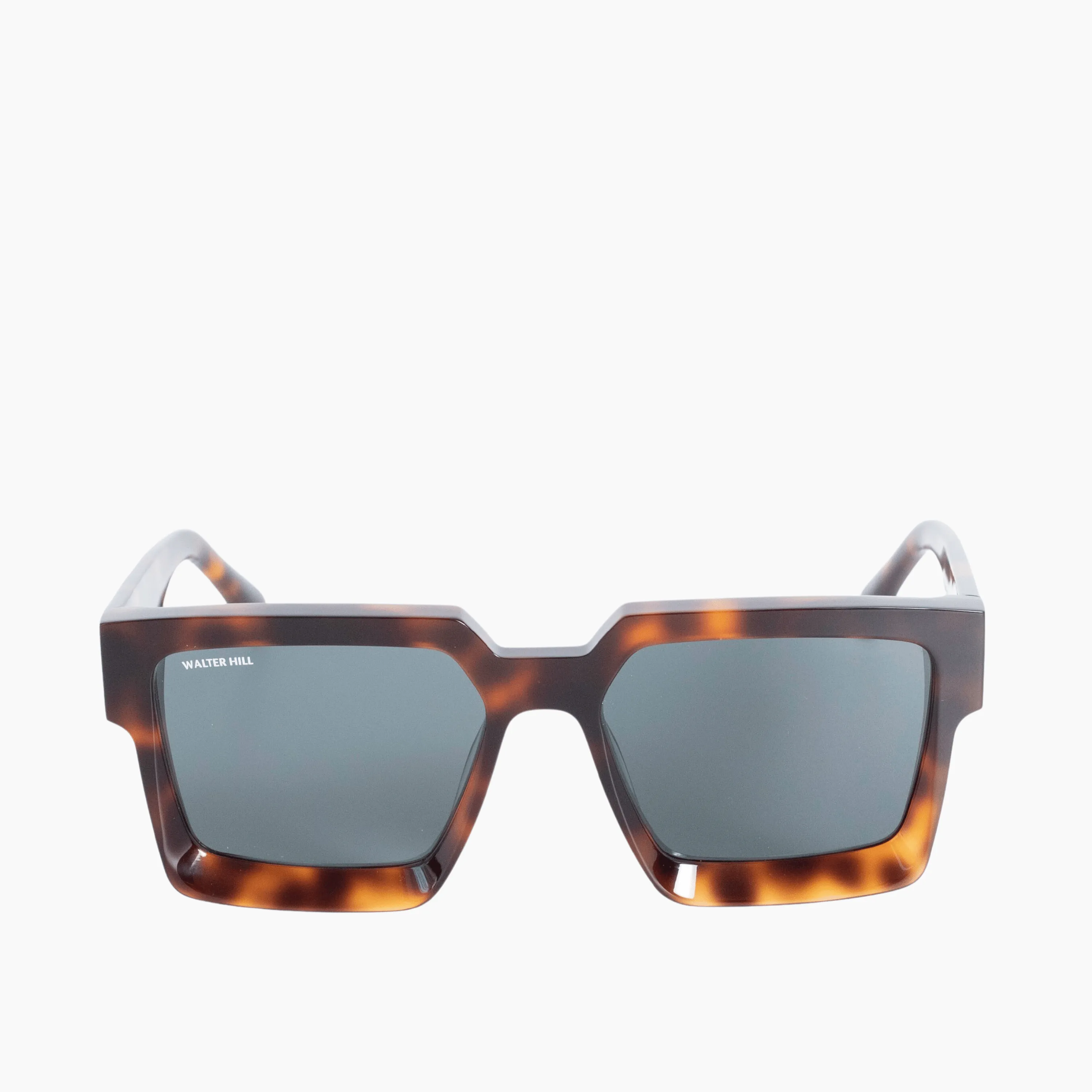SKY - Tortoise